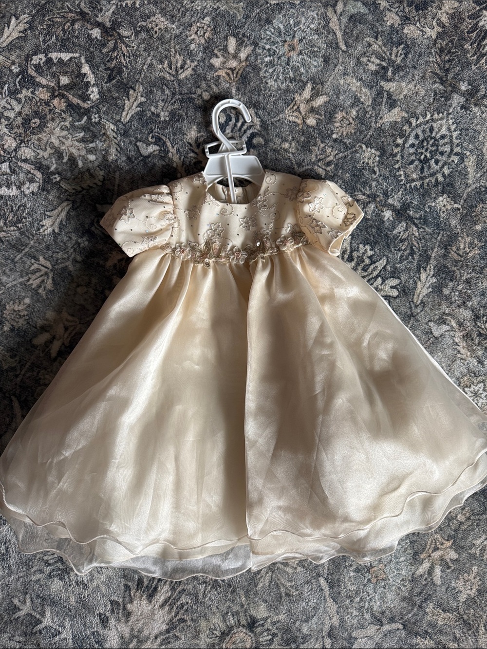 NWT Rare Editions Ivory Baby Girl Dress with Embroidered Bodice